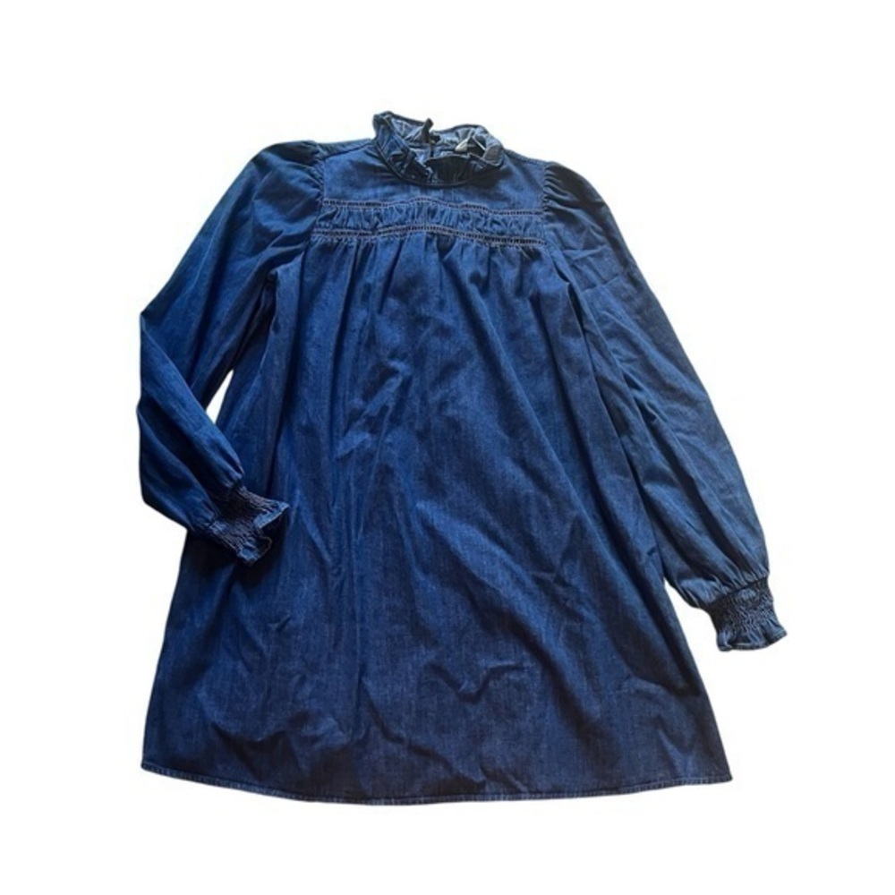 Long Sleeve denim Paris Atelier And Other Stories turtle neck ruffle dress